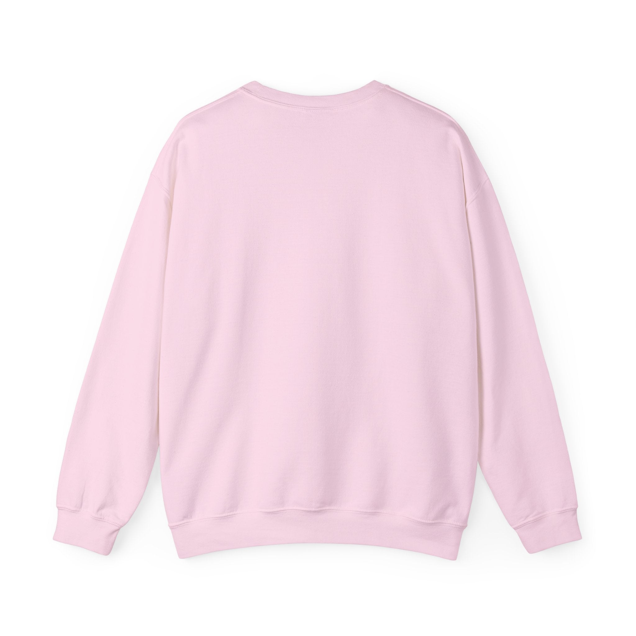 Master's Degree in Girl Math Sweatshirt | Pink calculator, leopard print, math icons